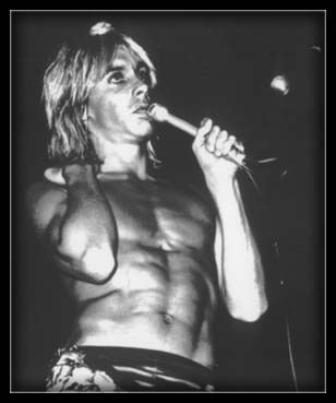 iggypop